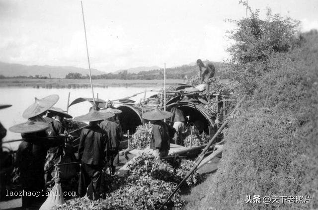 1930年代广西平南县老照片 民国平南城乡风光及特色人物风貌