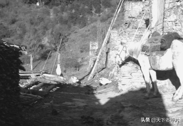 图片[42]-In 1941, 67 old images of Suomo, Chuosijia, Jinchuan and Lifan in Aba, Sichuan-China Archive