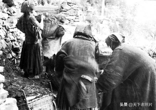 图片[24]-In 1941, 67 old images of Suomo, Chuosijia, Jinchuan and Lifan in Aba, Sichuan-China Archive