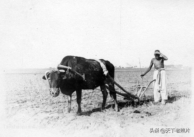 1920-1939年广西梧州老照片25副 百年梧州城市风貌